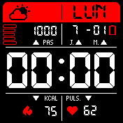 RaykRedDigitalProgressFR