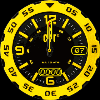 Caterpillar Analog Digital