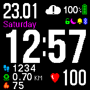 BIP-S_grosse_Ziffern_Heartrate.bin.gif