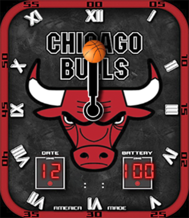 Chicago Bulls