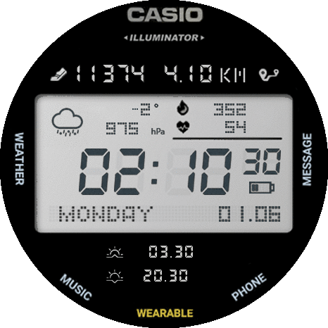 Casio Pulse