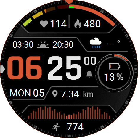 GARMIN DIGISTYLE (eng,id)
