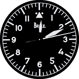 Pilot Flieger Type A