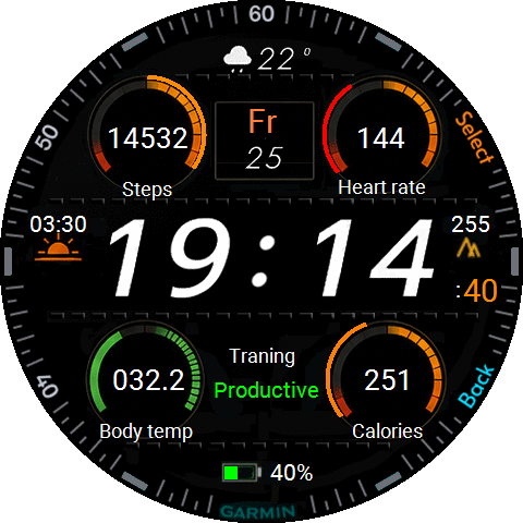 Garmin One