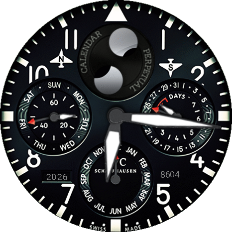 IWC_Perpetual