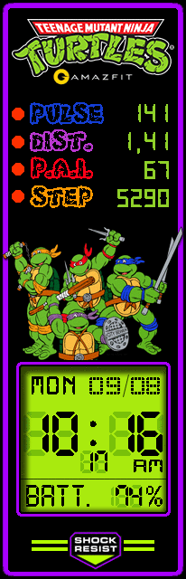 Turtles TMNT