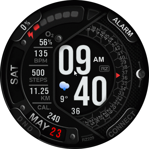 RZ229 ( Amazfit Balance )