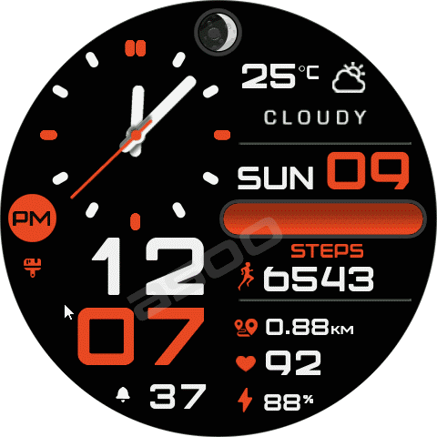 SS_DigiLog ( Amazfit Balance )