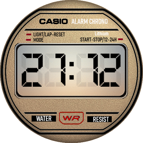 Casio-d1