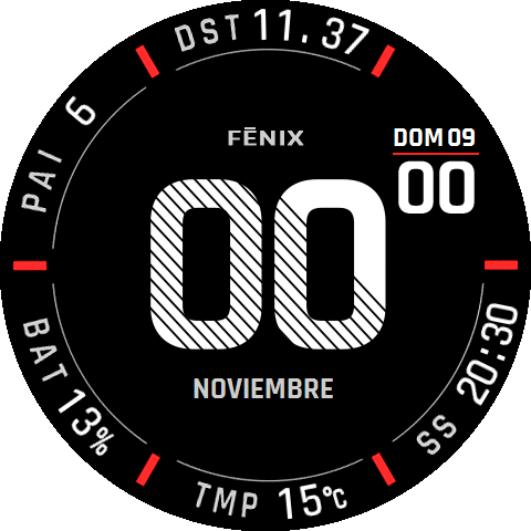 Garmin Fenix 6X