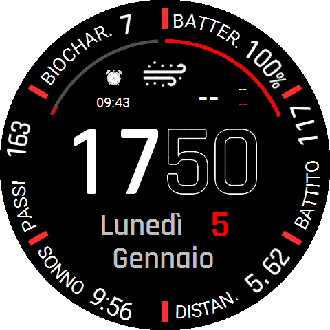 Lele_Garmin_Balance_2