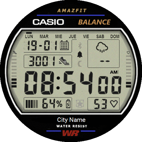 ManuCasio Balance