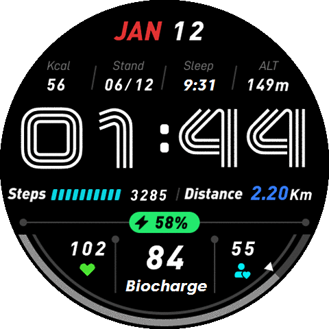 Vital_Balance_Biocharge