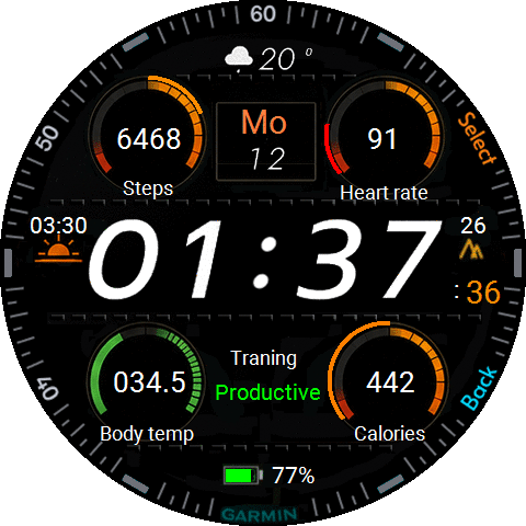 Garmin One