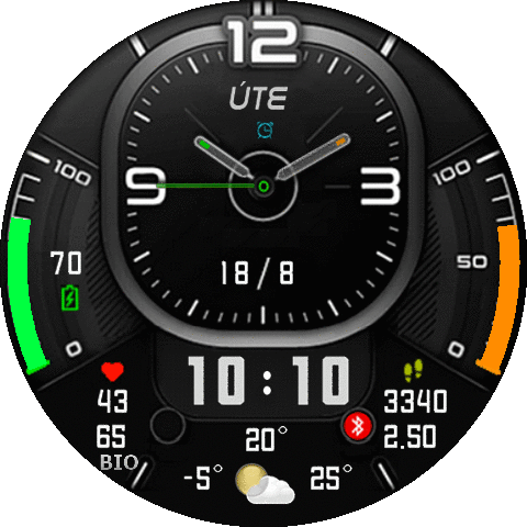benmar watch