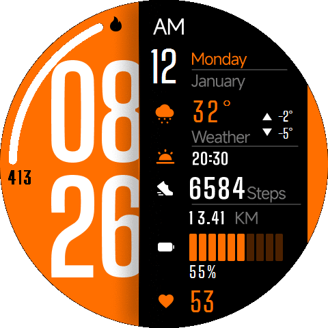 W5 Pro