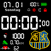 1. FC Saarbrücken