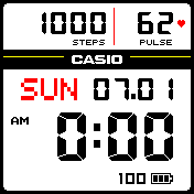 Casio LCD white change 2 digit date and month