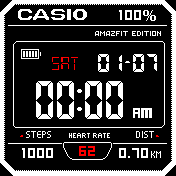 Casio black 12h