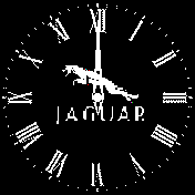 Rolex Jaguard Classic