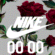 Nike Roses