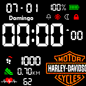 Harley Davidson