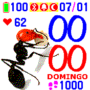 Hormiga Messor barbarus Ant a partir de IVCR