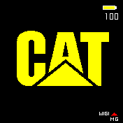 cat yellow