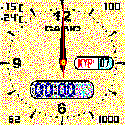 cycle casio
