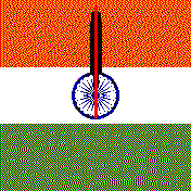 INDIAN BIP