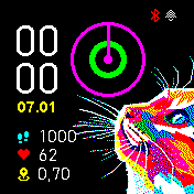 Cat Analog and Digital