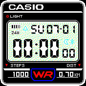 casio classic