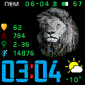 lion_