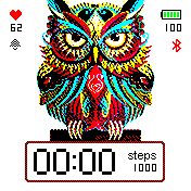 Owl white background