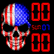 American skull