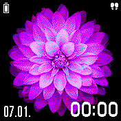 Apple-Flower_purple_BipS