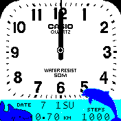 Best Casio Analog with Blue Water