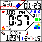 WHITE Digital Wil - 12H/24H (DD-MM/MM-DD)