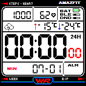 Casio Black White  in