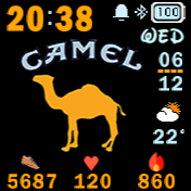 Camel