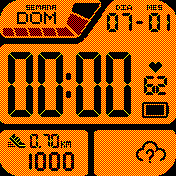 CASIO VINTAGE Revisada