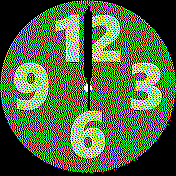Andoid12_Clock2_Green_v2