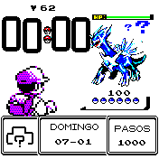 Lucha pokemon
