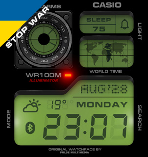 PULSE LCD BipU 5 ENG