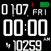 EZ Read Step Counter