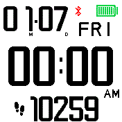 EZ Read Step Counter 2