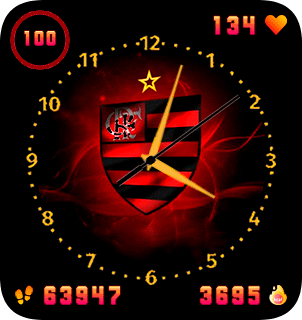 Flamengos Futbol Clube V1