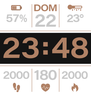 Dartwagner_BipUPro_V9