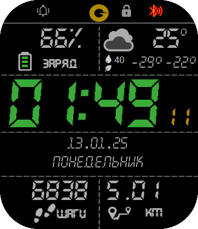 Digital-green-LCD_Bip6