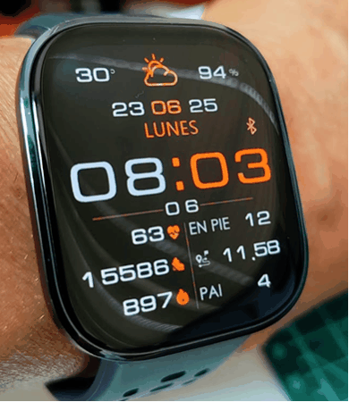 zfit_v12_ger_deutsch